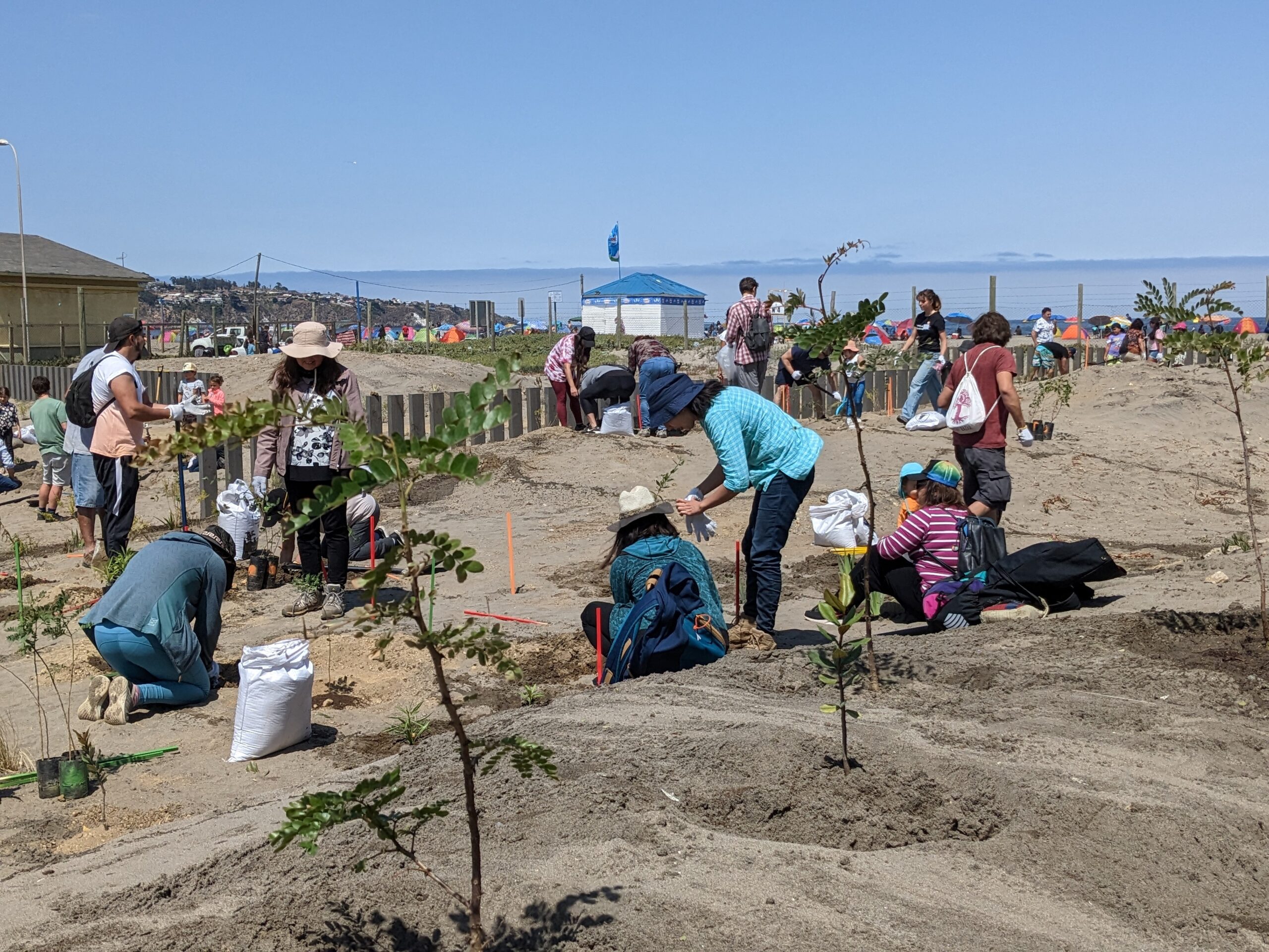 1.000 Plantas para Nuestro Humedal