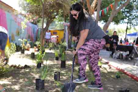 Graneros Crea: Más de 100 vecinos participan en el mejoramiento de Plaza Los Castaños